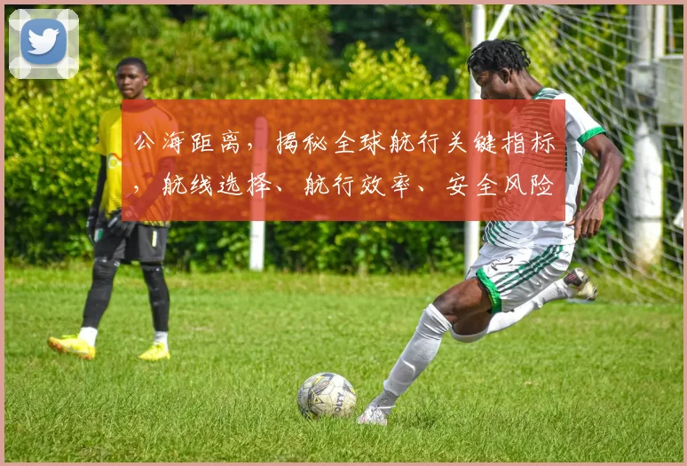 公海距离，揭秘全球航行关键指标，航线选择、航行效率、安全风险三大要素，一网打尽