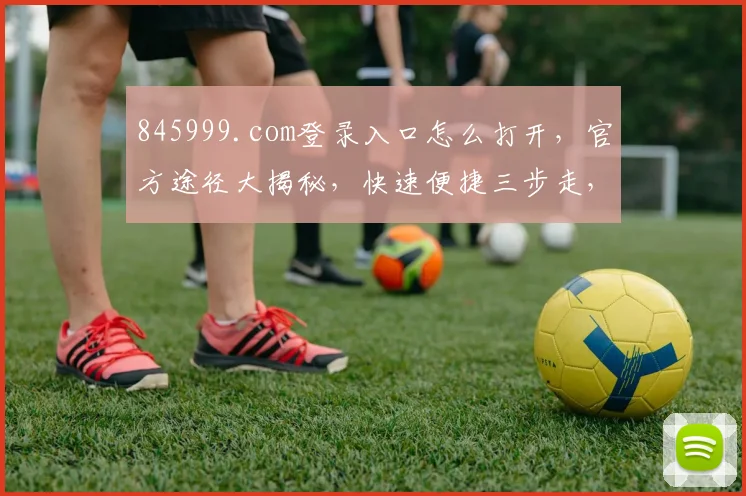 845999.com登录入口怎么打开，官方途径大揭秘，快速便捷三步走，轻松登录体验
